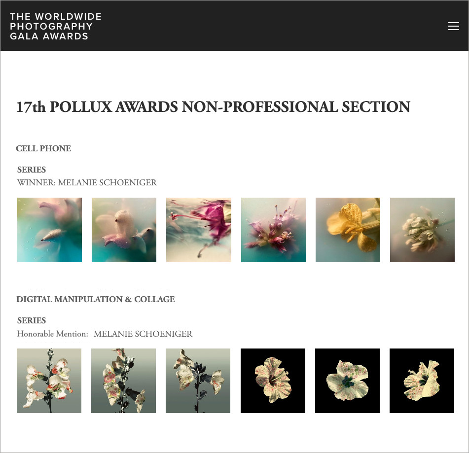 Insights – Preset #17 POLLUX awards (duplicate)